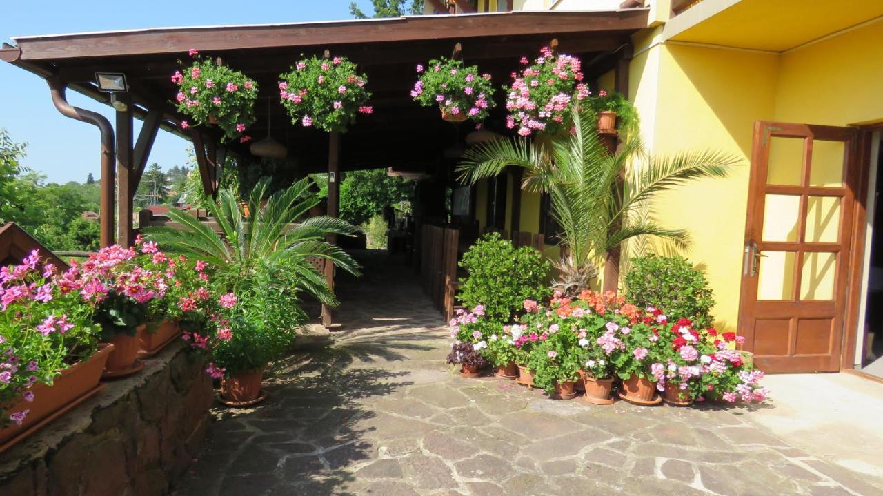 Hotel Prima Porta Vendeghaz Balatonalmádi Esterno foto